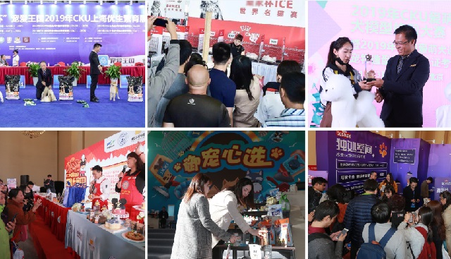 深圳华南宠物用品展Pet Fair South China(www.828i.com)