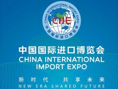 2024中国国际进口博览会-上海进博会-进馆证-门票
